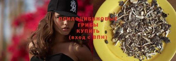 герыч Алексин