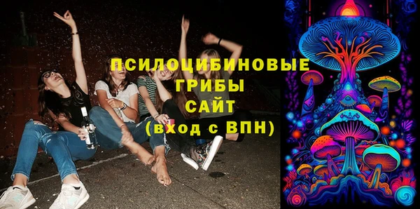 крисы Алексеевка