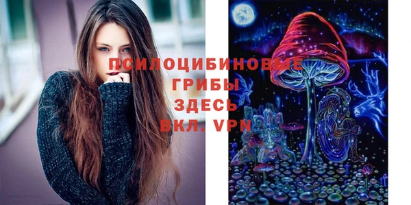 крисы Алексеевка