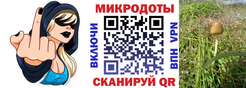 OMG ССЫЛКА  Анапа  Псилоцибиновые грибы прущие грибы 